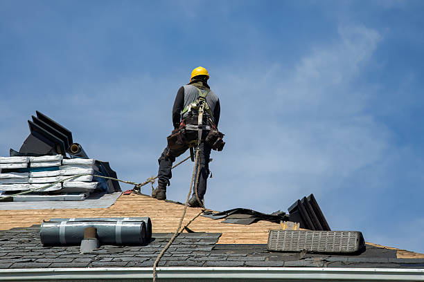 Professional Roof Replacement technician working in Dale, IN
